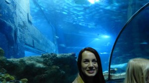 11065736_917983194919816_650936870_o