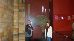 11101754_917982991586503_790344934_o