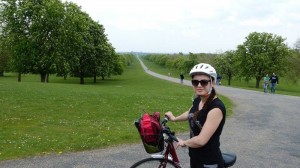 13149903_1131997096851757_1654140425_n