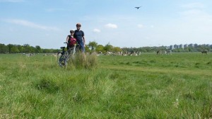 13183048_1131997083518425_49075918_n