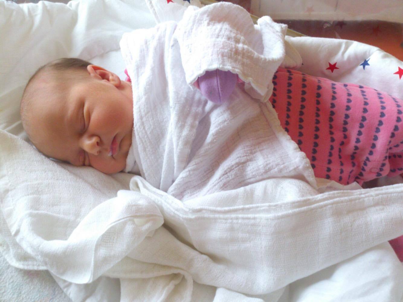 15216178_1296942607023871_1345776948_o